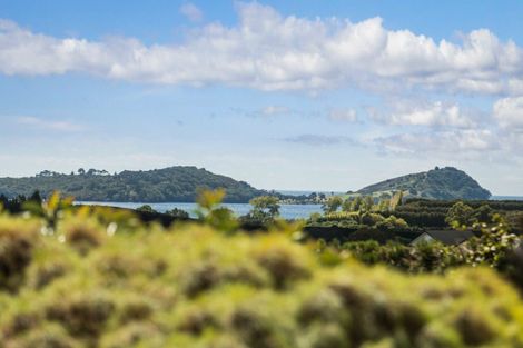 Photo of property in 63 Ongare Point Road, Tahawai, Katikati, 3170