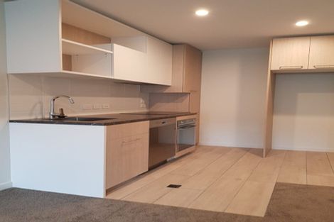 Photo of property in Vsp South, 503/168 Victoria Street, Te Aro, Wellington, 6011