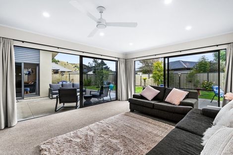 Photo of property in 27 Pinotage Drive, Greenmeadows, Napier, 4112