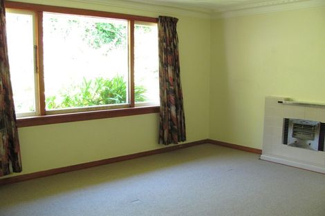 Photo of property in 147 Evans Street, Opoho, Dunedin, 9010