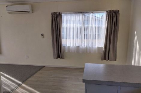 Photo of property in 127 Dey Street, Hamilton East, Hamilton, 3216