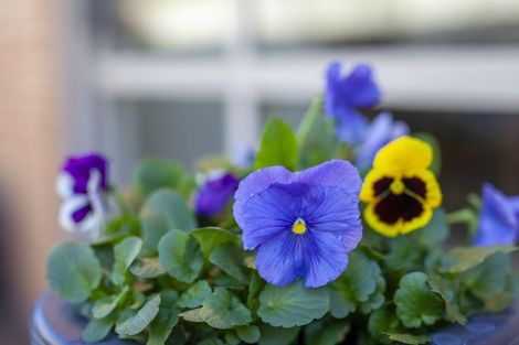 Photo of property in 40 Hadleigh Court, Paraparaumu, 5032