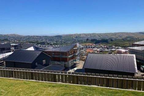 Photo of property in 85 Cedarwood Street, Woodridge, Wellington, 6037