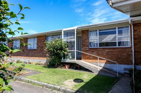 Photo of property in 256c Courtenay Street, Strandon, New Plymouth, 4312