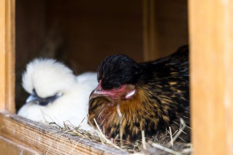 Photo of property in 30 Tamahunga Drive, Matakana, 0985