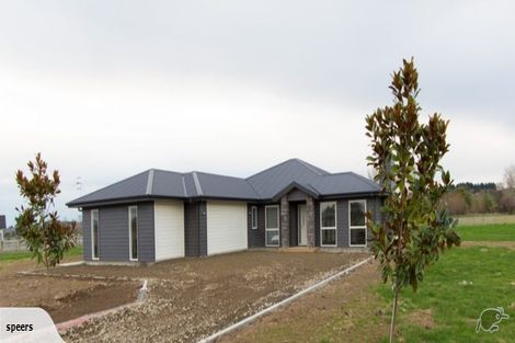 Photo of property in 19 Clare Court, Maewa, Feilding, 4777