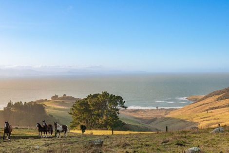 Photo of property in 378 Heyward Point Road, Heyward Point, Port Chalmers, 9081