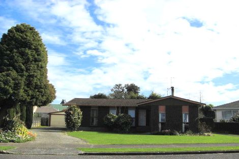 Photo of property in 41 Rimu Street, Levin, 5510