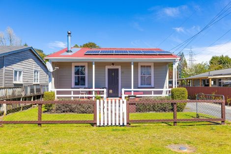 Photo of property in 219 Miro Street, Manunui, Taumarunui, 3924