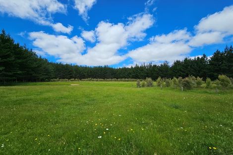 Photo of property in 1296 Wekaweka Road, Waimamaku, Kaikohe, 0473