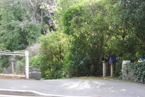 Photo of property in 41 Littlebourne Road, Roslyn, Dunedin, 9010