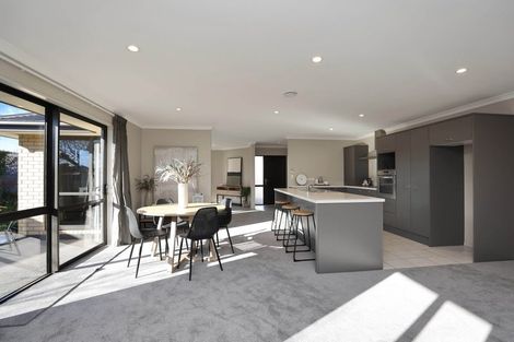 Photo of property in 13 Maynard Place, Netherby, Ashburton, 7700
