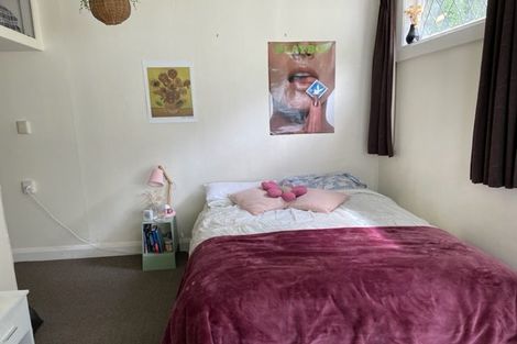 Photo of property in 11 Plunket Street, Kelburn, Wellington, 6012