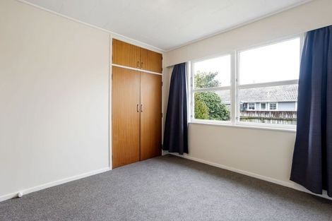Photo of property in 163 Clarkin Road, Fairfield, Hamilton, 3214
