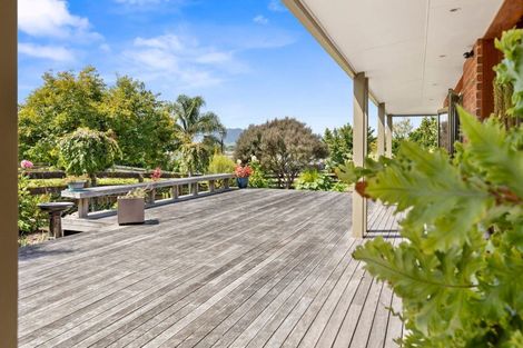 Photo of property in 120 Burwood Road, Matamata, 3400