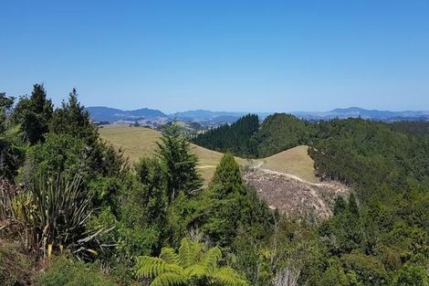 Photo of property in 489 Ruapekapeka Road, Towai, Hikurangi, 0182