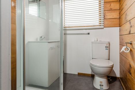 Photo of property in 24a Hinau Street, Maeroa, Hamilton, 3200