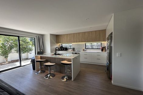 Photo of property in 118a Purchas Street, Edgeware, Christchurch, 8013
