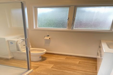 Photo of property in 65 Hamlin Road, Mount Wellington, Auckland, 1060