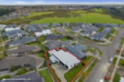 Photo of property in 9 Silicon Way, Fitzherbert, Palmerston North, 4410