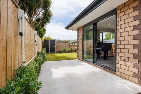 Photo of property in 11 Mccrae Place, Ashhurst, 4810