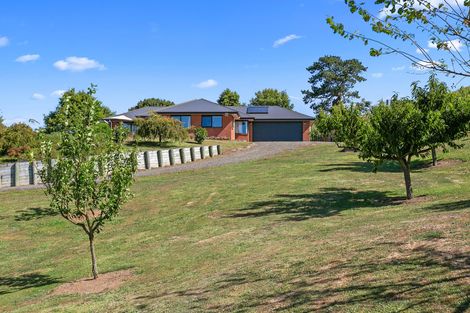 Photo of property in 323 Dukeson Road, Putaruru, 3481