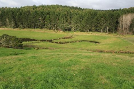 Photo of property in 388 South Road, Waipu, 0582