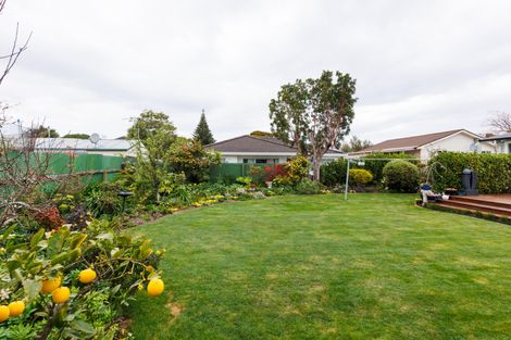 Photo of property in 31 Hereford Street, West End, Palmerston North, 4410