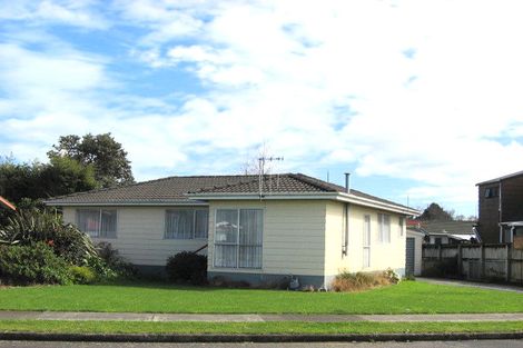 Photo of property in 43 Rimu Street, Levin, 5510