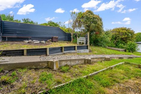 Photo of property in 38 Lagan Street, Bluff, 9814