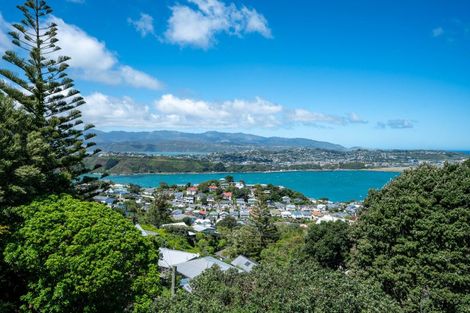 Photo of property in 47 Marewa Road, Hataitai, Wellington, 6021