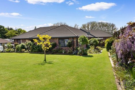Photo of property in 55/2 Seales Road, Morrinsville, 3374