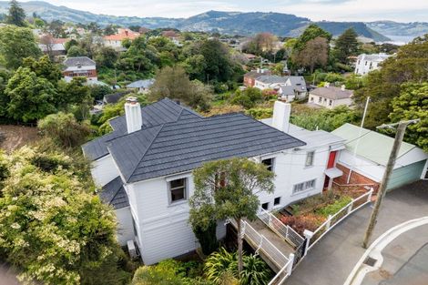 Photo of property in 17 Littlebourne Road, Roslyn, Dunedin, 9010