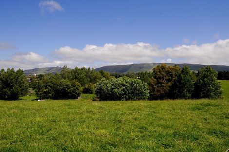 Photo of property in 80 Painstown Road, Waimate, 7978
