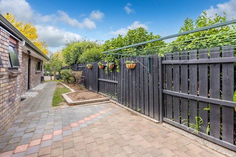 Photo of property in 19 Azimuth Place, Flagstaff, Hamilton, 3210