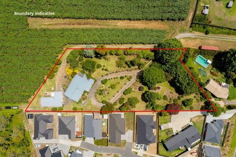 Photo of property in 50 Macloughlin Drive, Te Puke, 3119