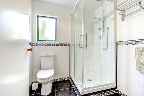 Photo of property in 45 Carey Street, Maeroa, Hamilton, 3200