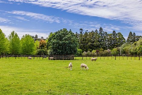 Photo of property in 409 Puketotara Road, Waipapa, Kerikeri, 0295
