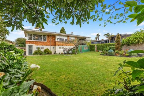 Photo of property in 246 Maungatapu Road, Maungatapu, Tauranga, 3112
