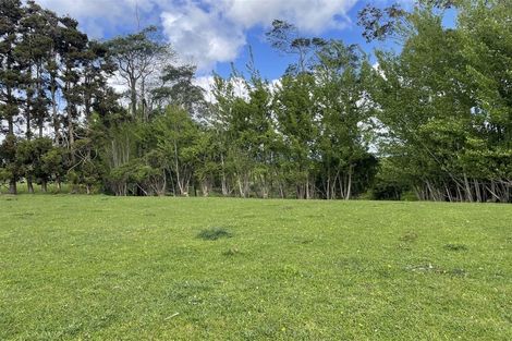 Photo of property in 106 Kukutauaki Road, Koputaroa, Shannon, 5575