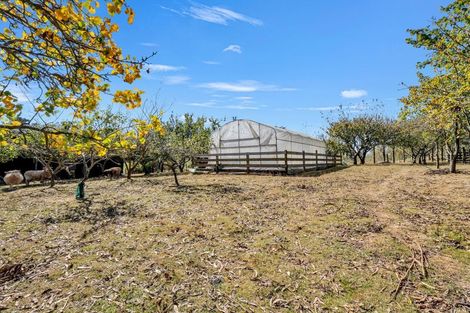Photo of property in 371 Tutaki Road, Bunnythorpe, Palmerston North, 4470