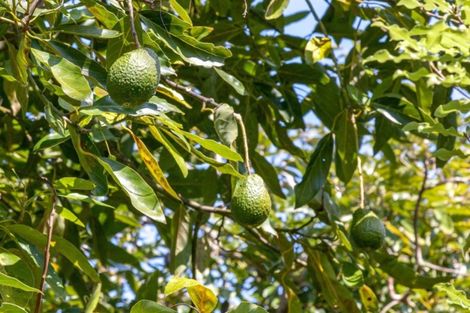 Photo of property in 19 Rewa Rewa Valley, Tairua, 3508