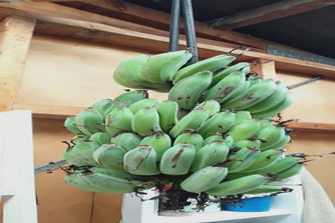 Photo of property in 198 Marsden Point Road, Ruakaka, 0116