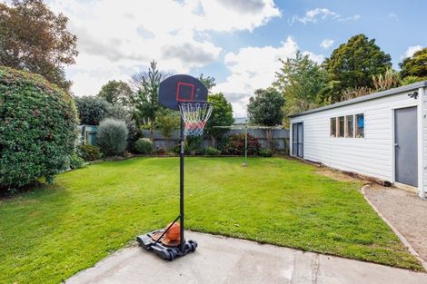 Photo of property in 24 Bamfield Street, Ashhurst, 4810