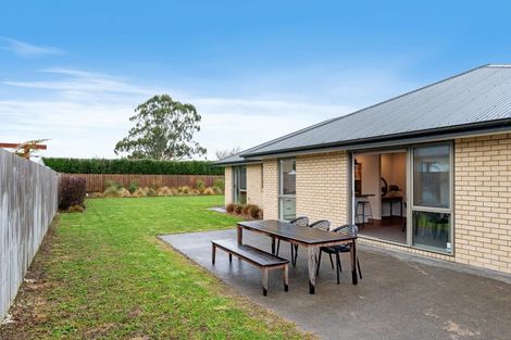 Photo of property in 33 Cressy Place, Darfield, 7510