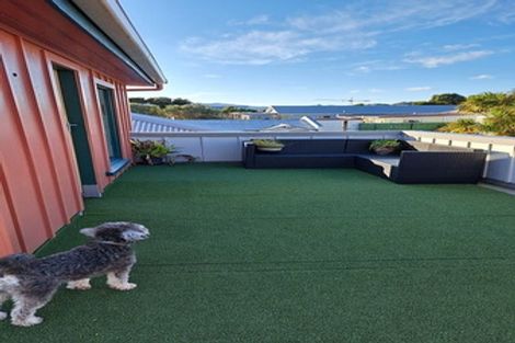 Photo of property in 8 Dawson Street, Berhampore, Wellington, 6023