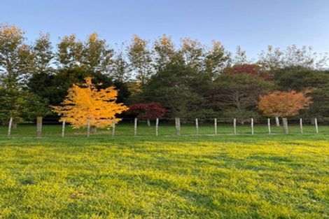 Photo of property in 853b Dairy Flat Highway, Dairy Flat, Albany, 0792