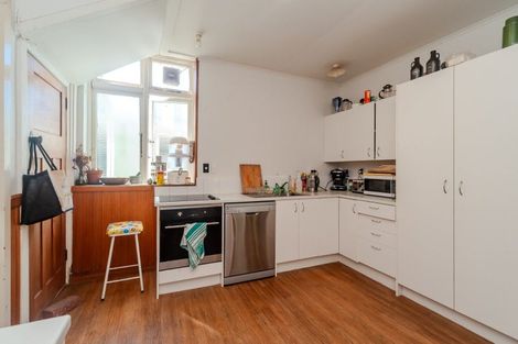 Photo of property in 19 Palmer Street, Aro Valley, Wellington, 6011