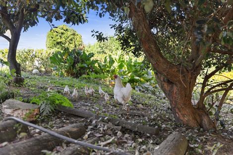 Photo of property in 86a Te Puna Road, Te Puna, Tauranga, 3174