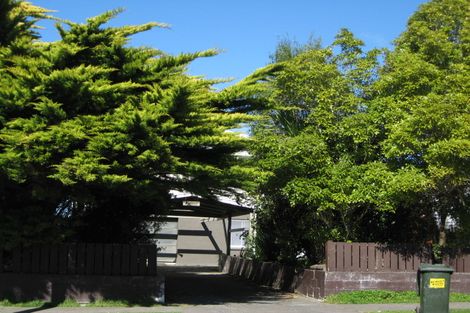 Photo of property in 21 Mill Street, Marton, 4710